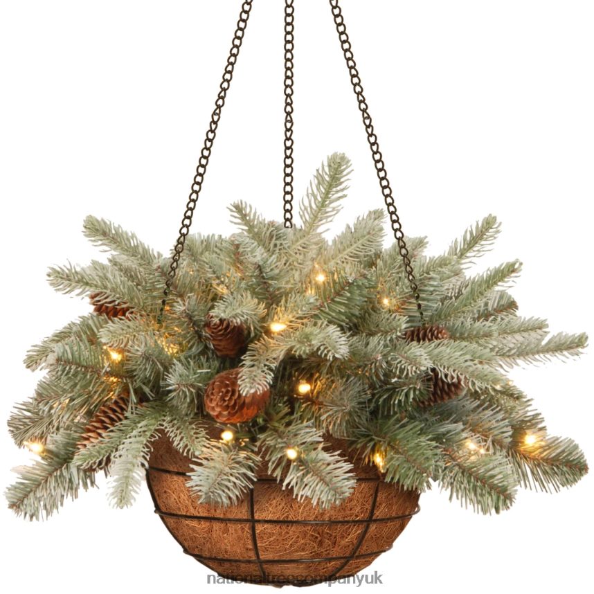 Greenery | National Tree Company Pre-Lit Feel Real Artificial Christmas Hanging Basket Arctic Spruce Decorated With Frosted Pine Cones White Lights Christmas Collection 20 Inches F2L4F435